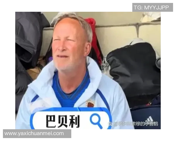 全球亿万球迷追随的足球传奇巨星魅力与影响力深度解析